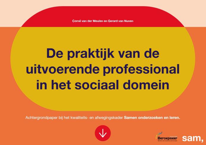 De praktijk van de uitvoerende professional in het sociaal domein