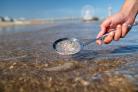 Microplastics in een zeefje aan het strand