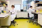 Laboratorium onderzoek
