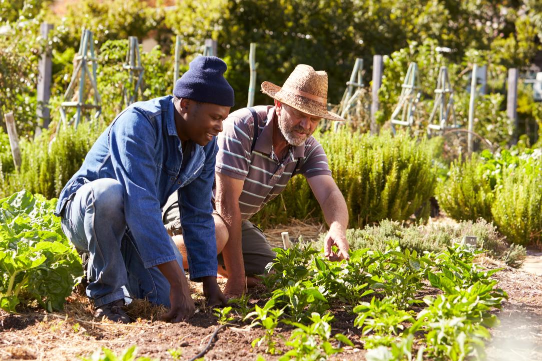 PARTIGAN gezond werken in de tuin 