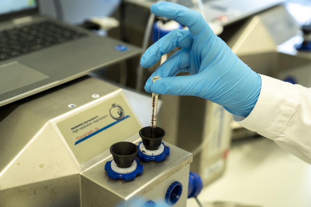Bloed wordt middels een apparaat genaamd de Oxygraph-2k getest op zuurstofgehalte, proteinegehalte en meer