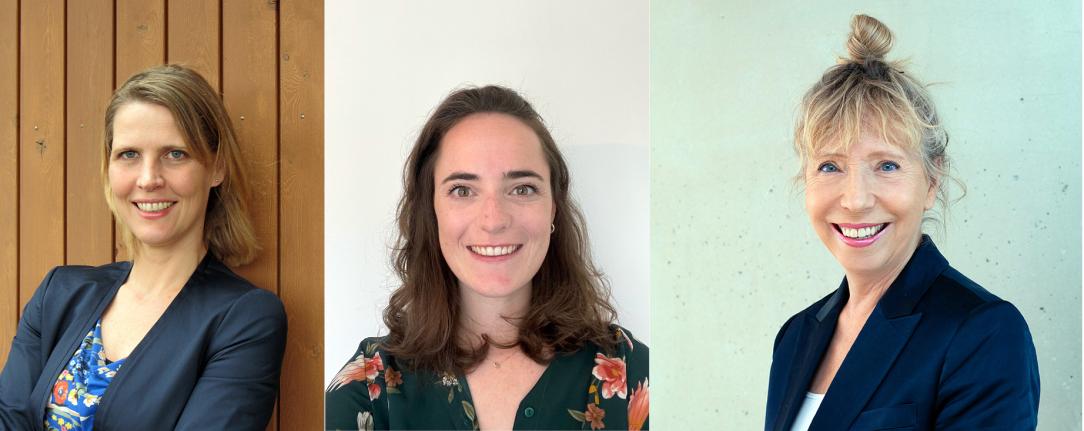 SPRINT - inzichten voor gebruikers en onderzoekers eMental Health