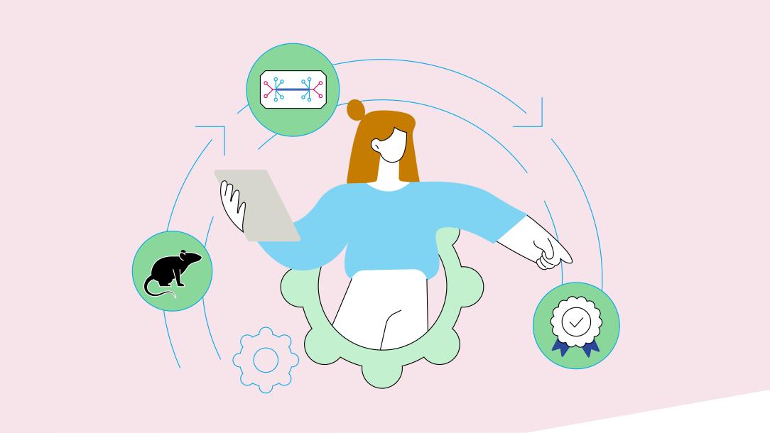 infographic meer kennis met minder dieren