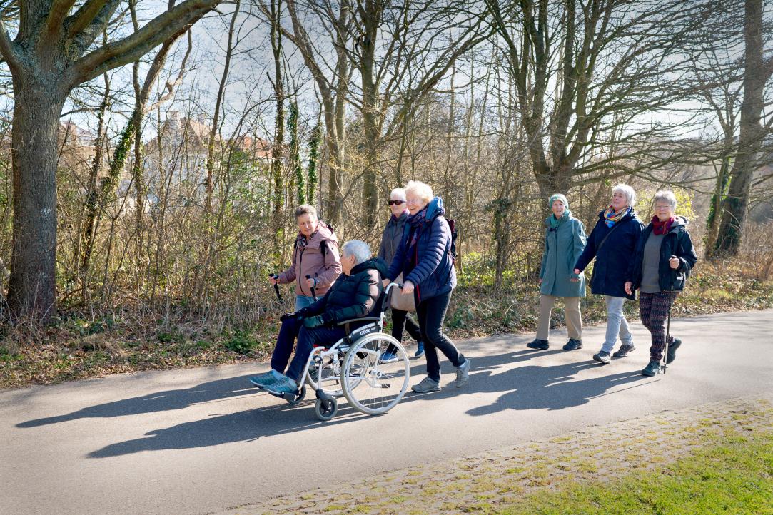 Groep ouderen wandelen met 1 persoon in een rolstoel in het bos