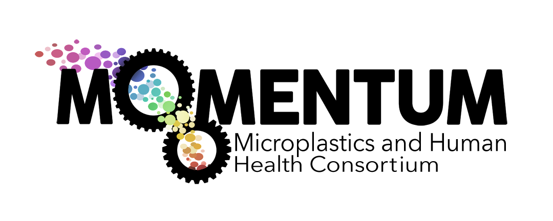 logo momentum