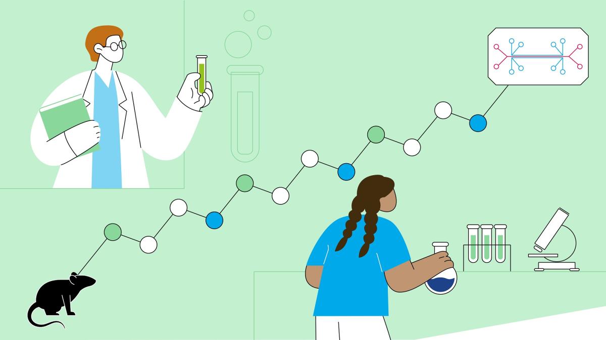 infographic transitiedenken MKMD