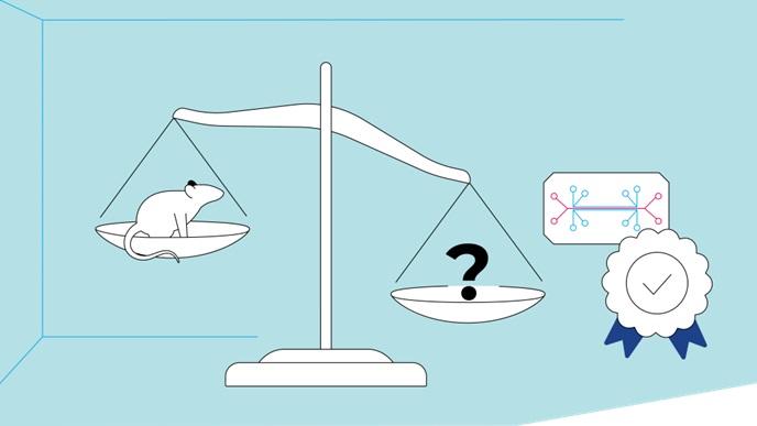 infographic publiek-private samenwerking MKMD