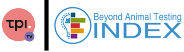 logo NAMii 1