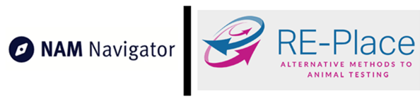 logo NAMii 3