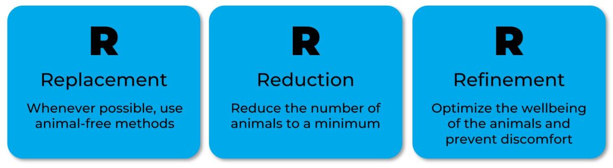 image Replacement, Reduction Refinement