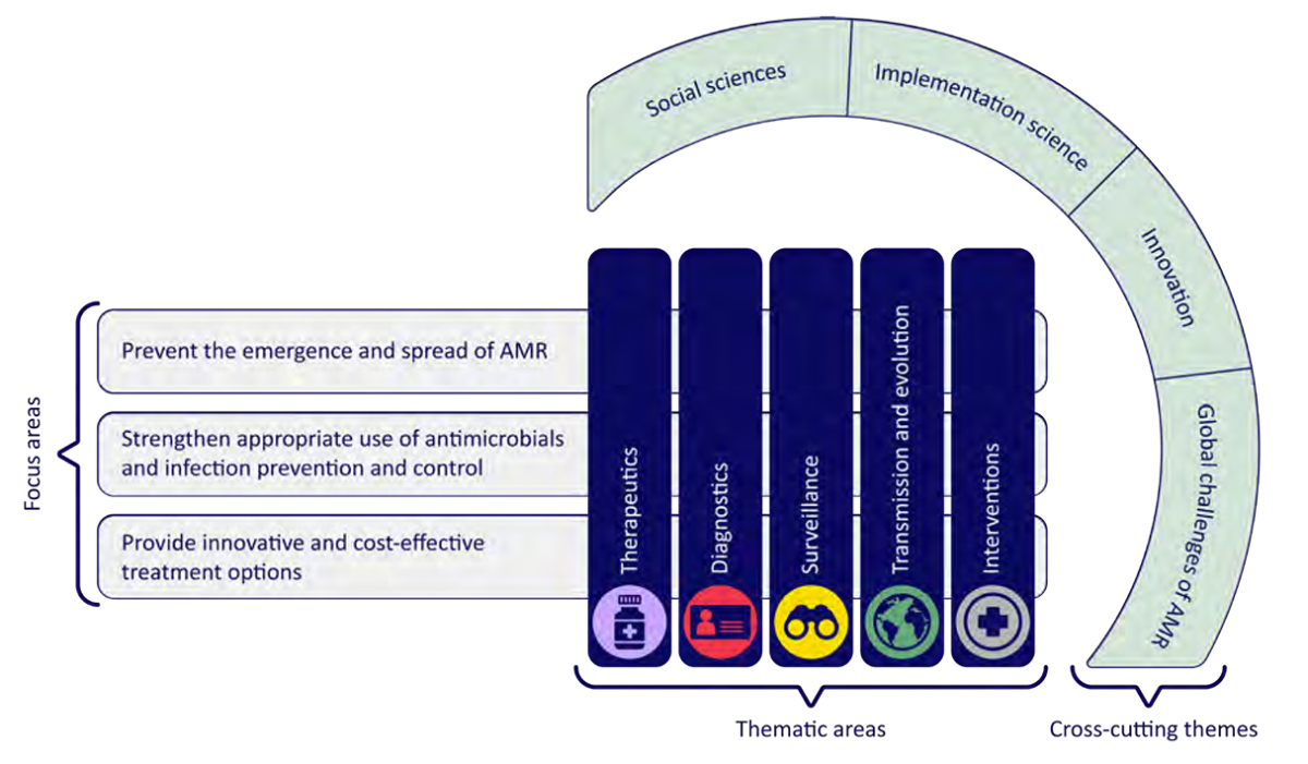 EUP OHAMR thema- en focusgebieden. Tekst: Focus areas: Prevent the emergence and spread of AMR. Strengthen appropriate use of antimicrobials and infection prevention and control. Provide innovative and cost-effective treatment options. Thematic areas: therapeutics, diagnostics, surveillance, transmission and evolution, and interventions. Cross-cutting themes: social sciences, implementation science, innovation, and global challenges of AMR.