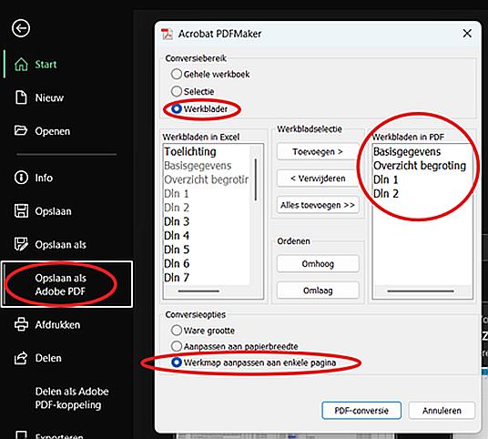 Screenshot van pdf hoe een begroting moet worden ingediend