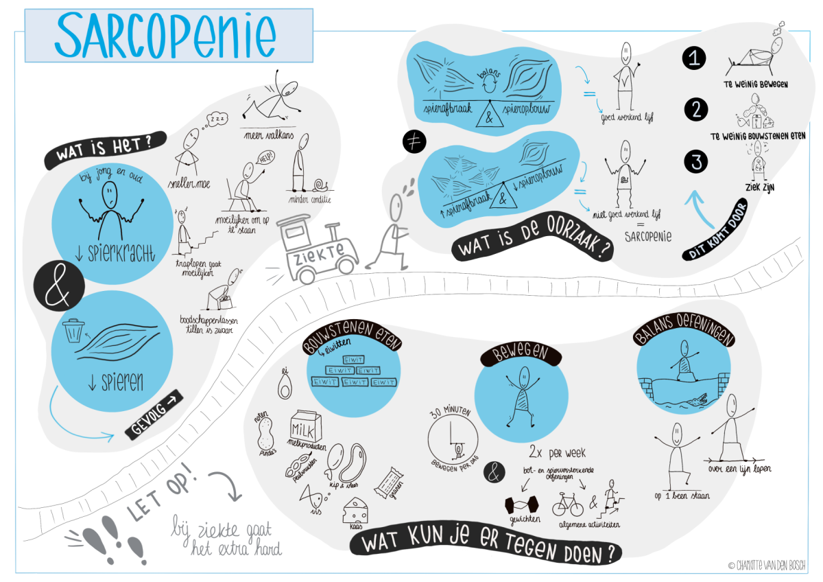 Infographic over sarcopenie: Wat is het? Wat is de oorzaak? Wat kun je er tegen doen?
