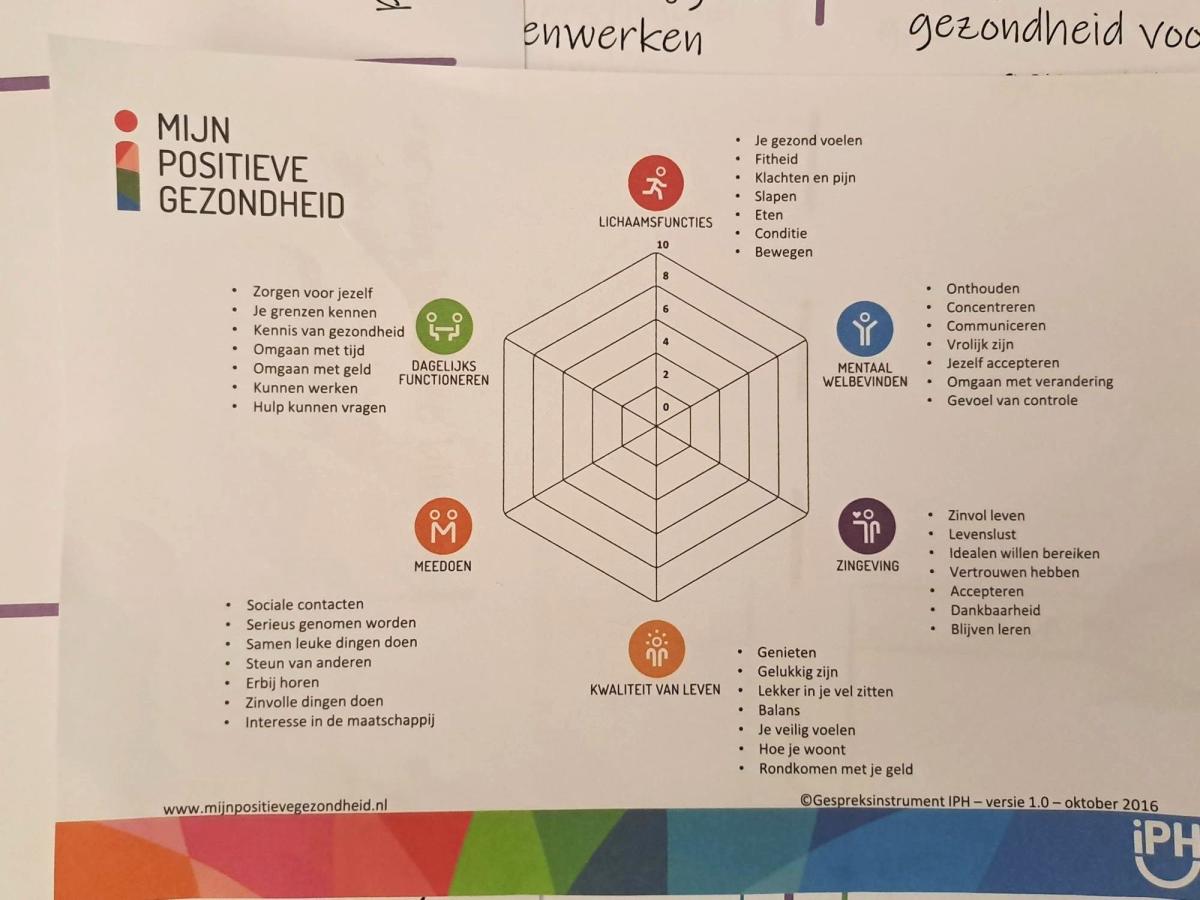 Spinnenweb Mijn Positieve Gezondheid met de thema's lichaamsfuncties, mentaal welbevinden, zingeving, kwaliteit van leven, meedoen en dagelijks functioneren.