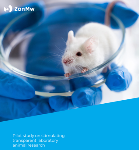muis op petrischaaltje voorkant rapport