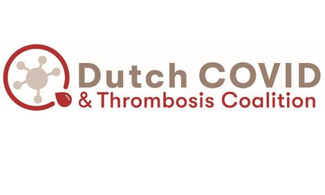 logo website