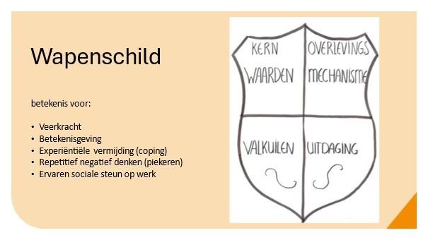 Collega’s maken een wapenschild van kernwaarden en valkuilen, dat ze bij wijze van spreken op hun borst kunnen dragen.